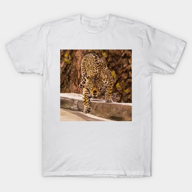 Jaguar T-Shirt by mega281